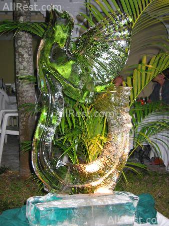 Couples Ocho Rios 49